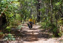 A short ride on the Munda Biddi trail