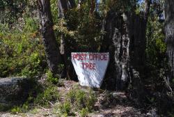 Post Office Tree - where mail was once collected