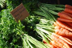 Homegrown Carrots in Salamanca market