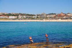 Swimmers jumping in the water at Bondi Beach