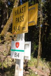 Haast Pass
