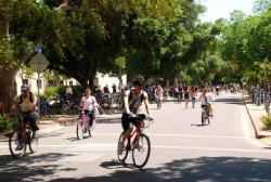 Cyclists in Davis