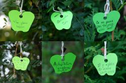 A selection of apples with messages we found hanging from trees