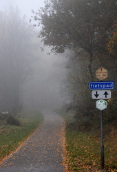 Dutch bike path