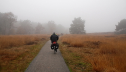Riding through the mist