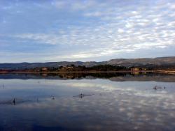 14 - Fishing nets in the south of France.jpg