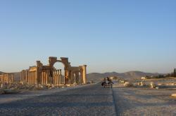 80-Palmyra.jpg