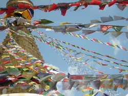 More flags.jpg