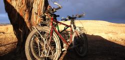 Bikes bathed in golden afternoon light