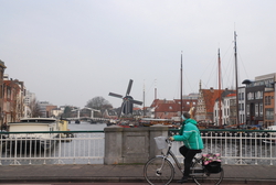 Leiden and a local cyclist