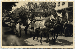 1949 - Schlesian parade.jpg