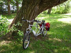 Island Tandem