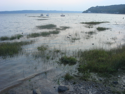 Marshy waters of the St Lawrence at Cap Rouge