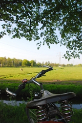 Scenic view of Dutch fields