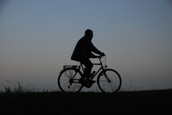 Bike silhouettes