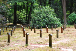 DSC_2913.JPG