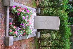 DSC_2919.JPG