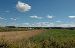 Farm view in Quebec, with corn fields aplenty