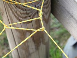 IMG_0588