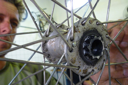 tour.tk-rim