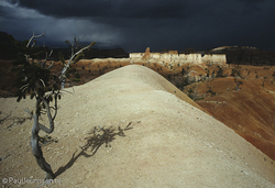 Bryce_canyon_Paul_Jeurissen.jpg