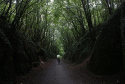 bikepath.jpg