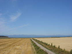 View from the Brasserie