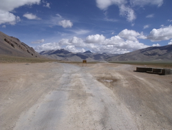 which way, beginning of Morrei Palteau.JPG