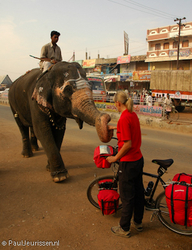 Bicycle touring in India.