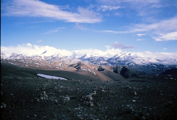 FL000082.jpg