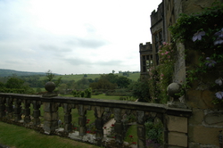 A small portion of the gardens