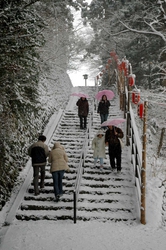 We arrive in a beautiful, snowy Nikko