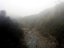 Mist over the gorge
