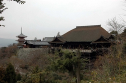 View from the Top of the temple