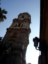 Malaga's cathedral