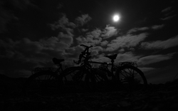 Bikes in black & white