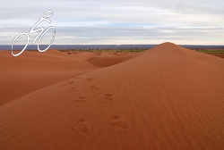 Footprints in the sand