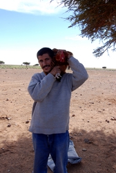 Bad day for Chicken, but good eating