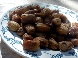 Dates at Camping Tagmoute