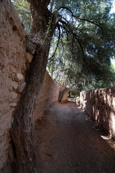 A cool and enchanting place