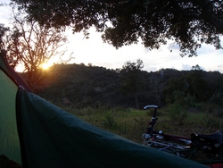 Last light over our campsite among the cork trees